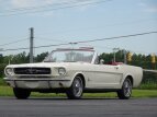 Thumbnail Photo 7 for 1965 Ford Mustang